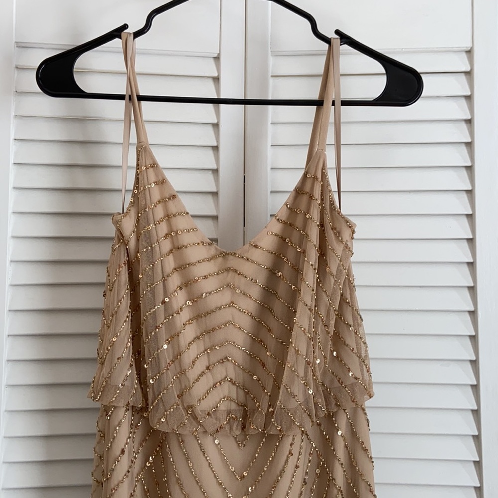 Adrianna Papell floor length dress - Picture 3 of 6